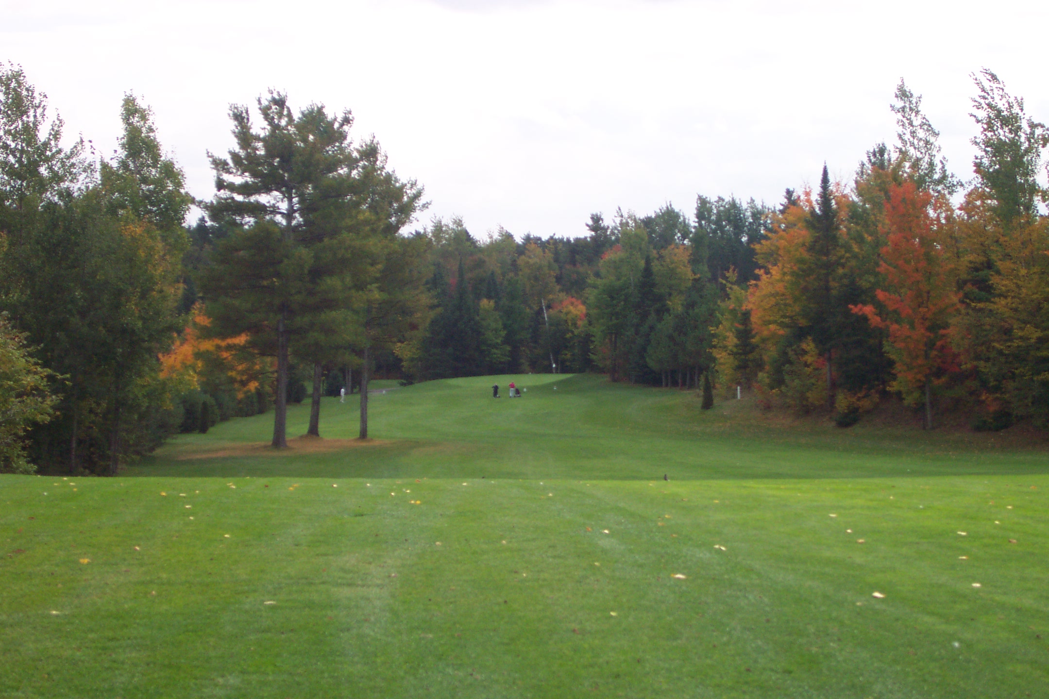 Hole 15 Nation Golf Club
