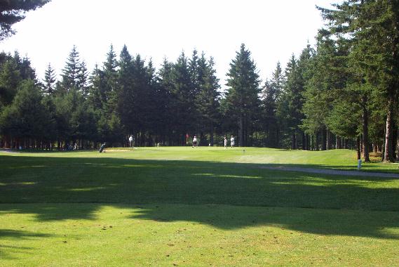 Hole 14